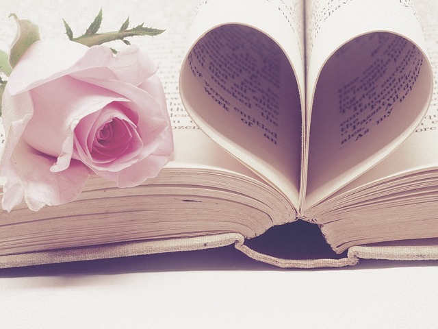 Ontdekken van literaire genres, de kracht van lezen, beoordelen van boeken en inzicht in het publicatieproces