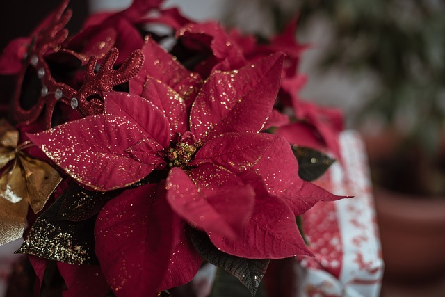 Is jouw kerstcadeau te onpersoonlijk?